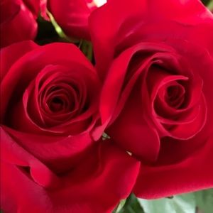 Meet your Posher, Mena